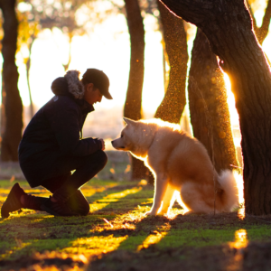 Terapeuta en Gestión Emocional y Manejo del Estrés en Perros
