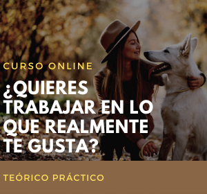 Adiestrador Canino Pro
